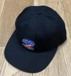 2026年最新】CUSTOMIZED carhartt duck hood fannyの人気アイテム 
