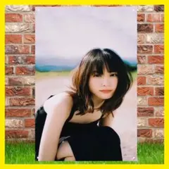 新垣結衣 女優 壁飾り インテリア雑貨 ポスター ブリキ看板