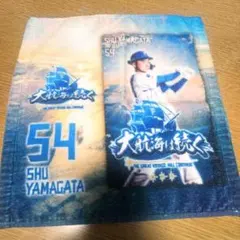 山縣秀　ファイターズ　タオルくじ　2025