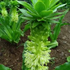 ポンちゃん様 リクエスト 2点 まとめ商品