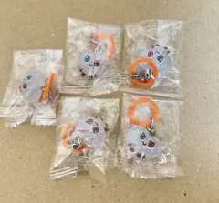 ジュンギュ TRUZ めじるしアクセサリー キラキラスペシャルラメver.