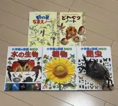 小学館の図鑑NEOまとめ売り 5冊セット（植物・昆虫・水の生物）自由研究にも