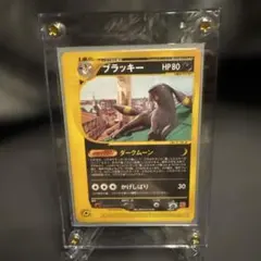 ポケモンカード　ブラッキー　マクドナルドプロモ