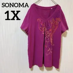 SONOMA【1X】マゼンタ Vネック 半袖Tシャツ ペイズリー柄 カジュアル