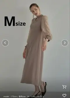 刺繍 シアー トライアングルデザイン エンブロイダリー ワンピースのサムネイル