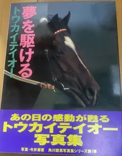 ギャロップGallop臨時増刊 週刊100名馬 23 トウカイテイオー - メルカリ
