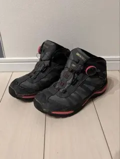 Item thumbnail for item 3326f41c-e1ce-47f4-ac08-4ab2e77c3d61