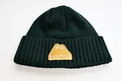 patagonia パタゴニア ブロデオ・ビーニーのサムネイル