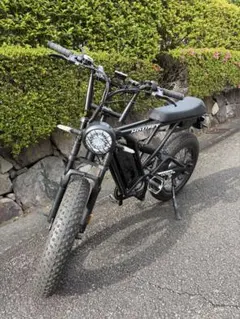 HOUPET 005+ 電動アシスト自転車 ファットバイク - メルカリ