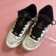 Item thumbnail for item 9bd77b63-9266-480f-a49a-dd2fbc938c2d