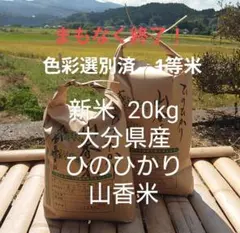 まもなく終了！色彩選別済み！1等米 20Kg 大分県産 ひのひかり 山香米