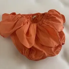 Item thumbnail for item 8c19333b-c696-4f85-b258-30e68fc56de1