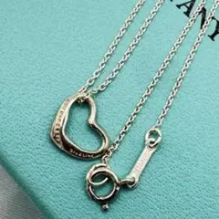 193 美品 ティファニー ネックレス ハートキー ラージ シルバー 925