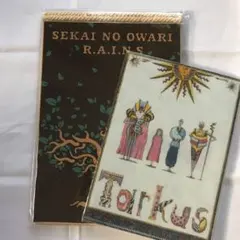 SEKAI NO OWARI RAINS