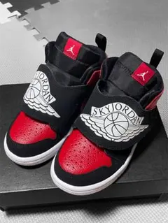 未使用♡ナイキNike Sky Jordan 1 BQ7196-001 15cm