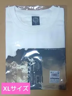 Item thumbnail for item 529691fe-e5f2-4d9b-81a5-ec43e23efdc7