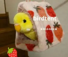 Item thumbnail for item cb2ae16f-9097-4f30-bd71-b57e738d85cf