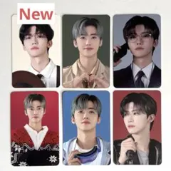 雑食やろう様 リクエスト 3点 まとめ商品