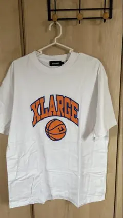 Item thumbnail for item 1d3bb9f1-ff78-4784-a10a-524d590192b4