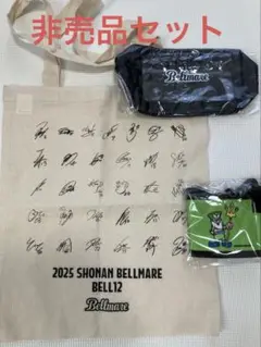 【非売品】　湘南ベルマーレ　サイン入り　グッズ　セット
