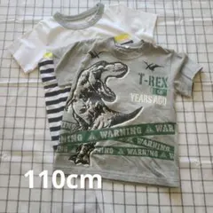Tシャツ 110cm　2枚セット
