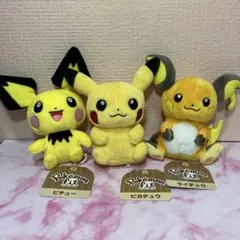 ポケモンfit　ピチュー　ピカチュウ　ライチュウ