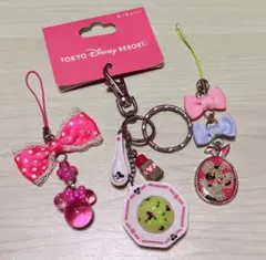 東京ディズニーリゾート ストラップセット
