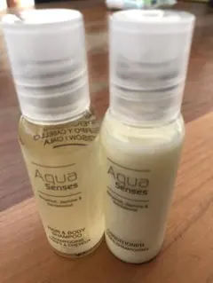 Item thumbnail for item 746a22ab-d535-4c4d-a2d5-ead88f3d47aa