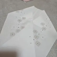 Item thumbnail for item 5ea02e73-6faf-4d99-9c4a-1a4e56c4e434