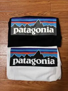 patagonia Tシャツ　2枚セット