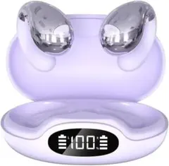 ワイヤレスイヤホン Bluetooth 5.4 オープンイヤー型 PSE