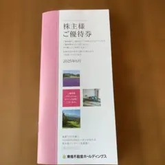 東急不動産ホールディングス株主優待券1000〜5000株
