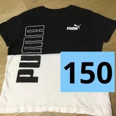 PUMA 150cm 半袖　Tシャツ 黒/白
