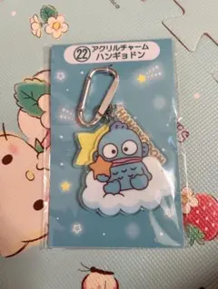 サンリオキャラクター大賞当たりくじ　22.アクリルチャーム　ハンギョドン