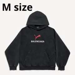 BALENCIAGA InsideOut Zip-Up Hoodie サイズS - メルカリ