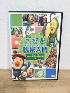 こびと観察入門 こびとづかん オトリマダラ ハナガシラ（ムシクイの友情） 編