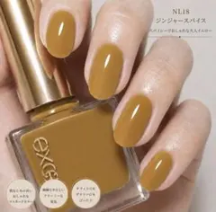 サナ エクセル♡新品♡ネイルポリッシュN NL18 ジンジャースパイスのサムネイル