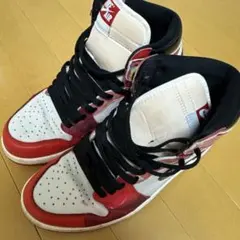 Nike Air Jordan 1 High OG スニーカー