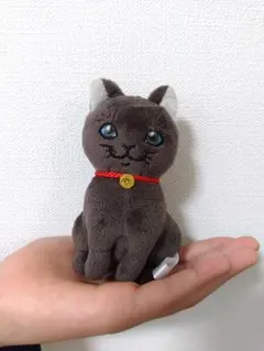 Item thumbnail for item 3aa5f3c7-f386-487f-a0a3-d53af0c1a90e