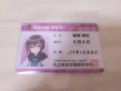 オンゲキ 学生証カード 17種　全種17枚　コンプリートセット オンゲキ 学生証カード 17種 全種17枚 コンプリートセット