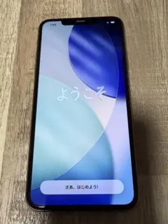 iphone pro max 256gb