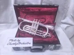 2025年最新】YCR 3330の人気アイテム - メルカリ