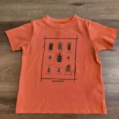mont-bell 　昆虫　半袖Tシャツ 100cm