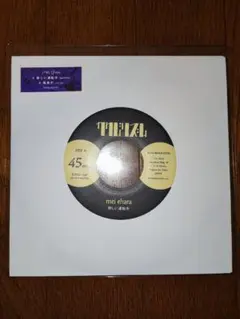 mei ehara 悲しい運転手 風景が メイエハラ 江原茗一 カクバリズム