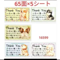 16599 サンキューシール