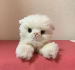 三英貿易 白猫ぬいぐるみ