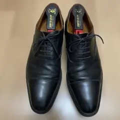 SCOTCH GRAIN ストレートチップ 26cm EEE - メルカリ