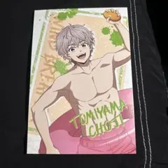 ウィンドブレイカー アニメイト 特典 ポストカード 兎耳山丁子