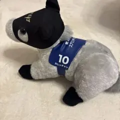 Item thumbnail for item 9bf81202-4a5f-4b25-9116-a1f5a34217f4