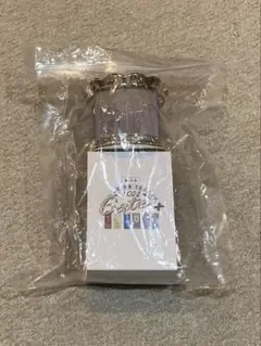 美少年　ペンライト　Gates+